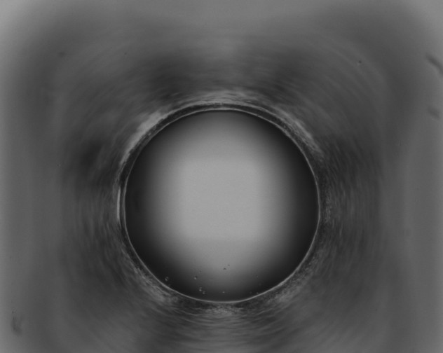 X0000092301224200710041441