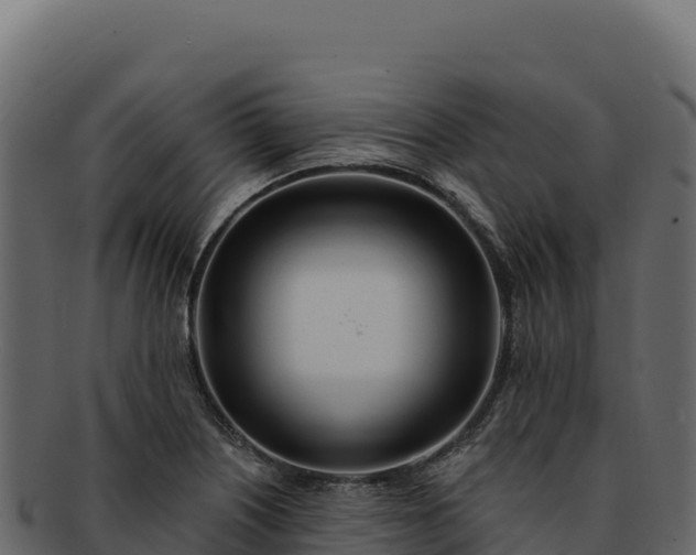 X0000092301226200710041441