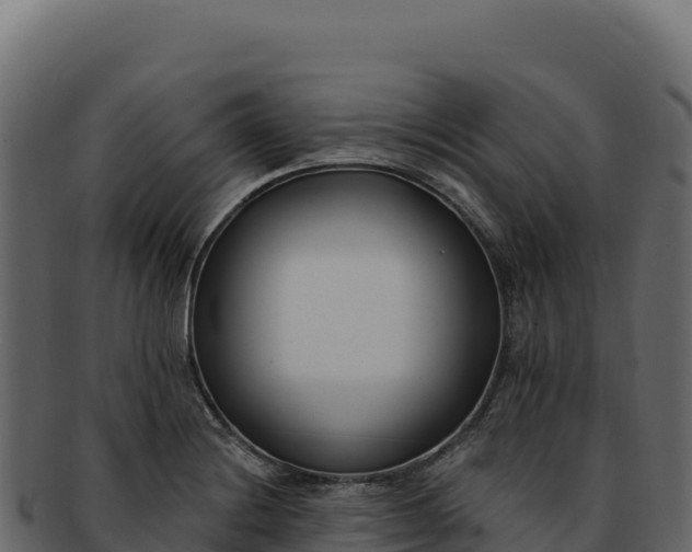 X0000092301228200710041441