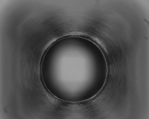 X0000092301229200710041441