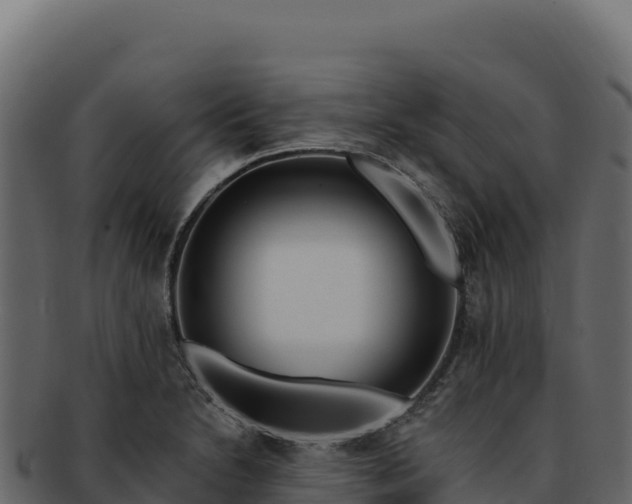 X0000092301230200710041441