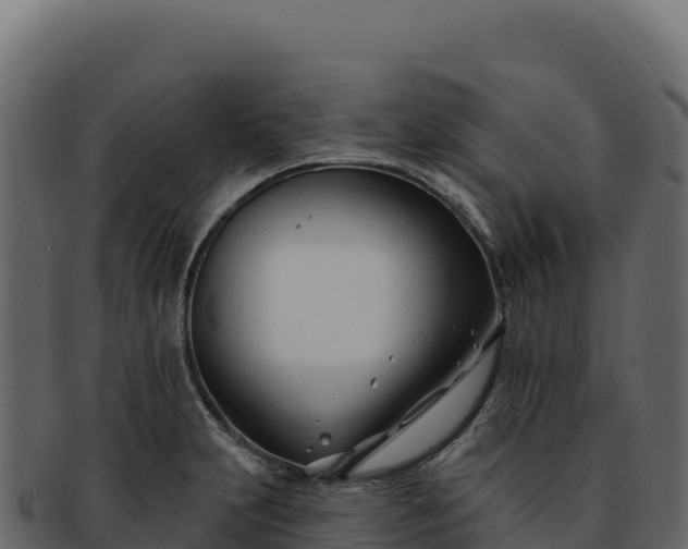 X0000092301231200710041441