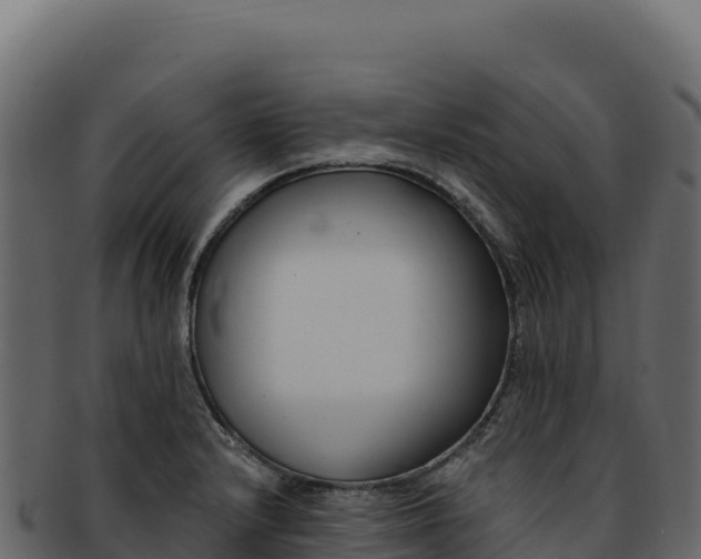 X0000092301232200710041441