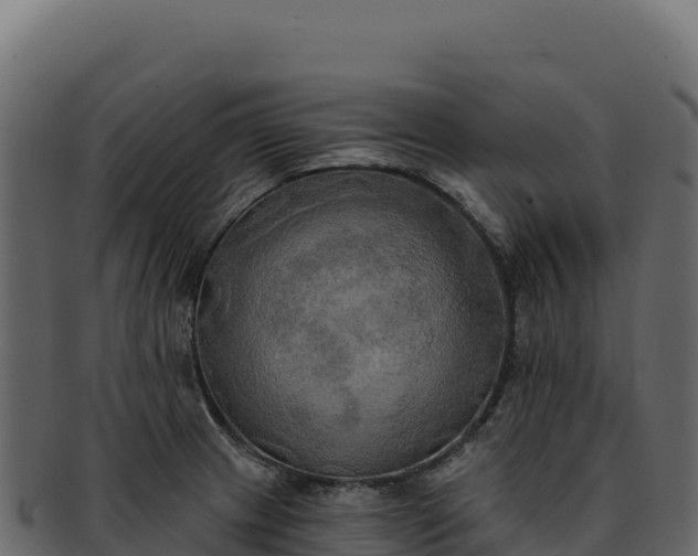 X0000092301233200710041441