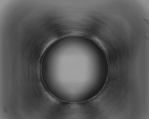 X0000092301235200710041441