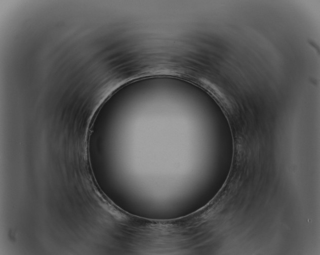 X0000092301236200710041441