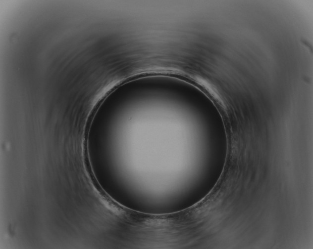 X0000092301237200710041441