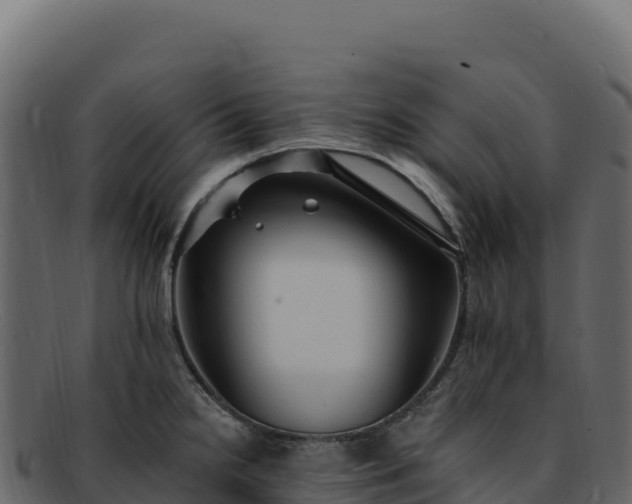 X0000092301238200710041441