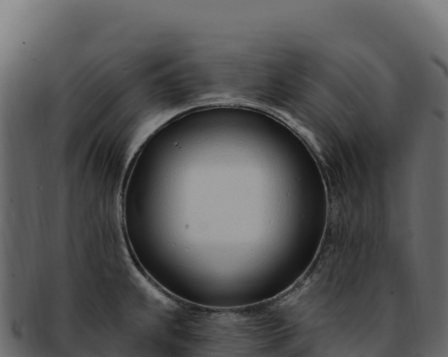 X0000092301239200710041441