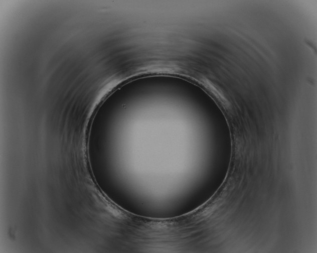 X0000092301240200710041441