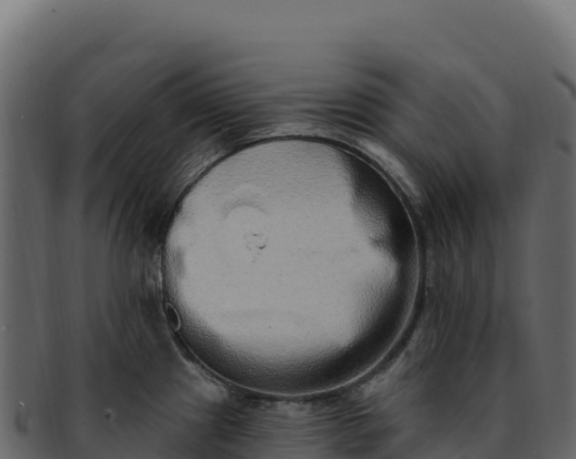 X0000092301241200710041441