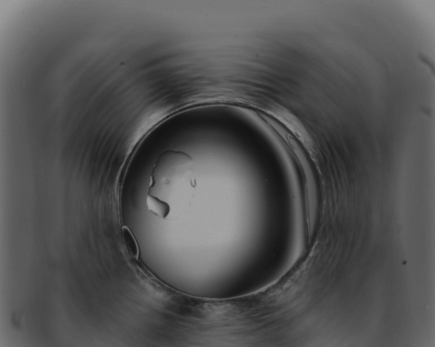 X0000092301242200710041441