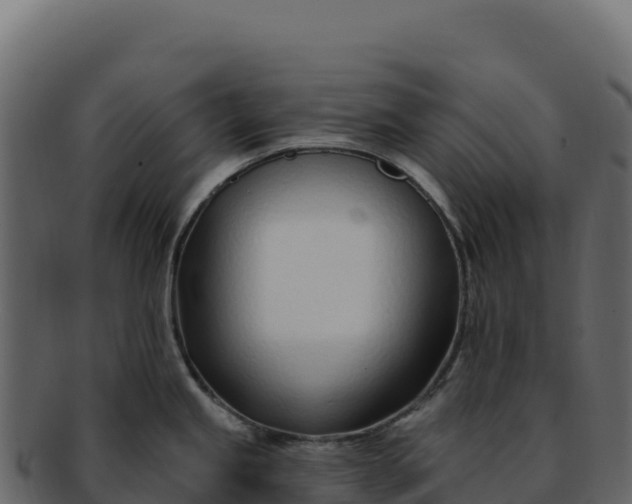 X0000092301245200710041441