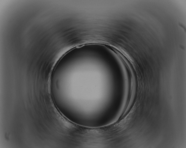 X0000092301246200710041442