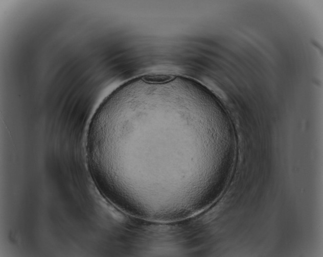 X0000092301248200710041442