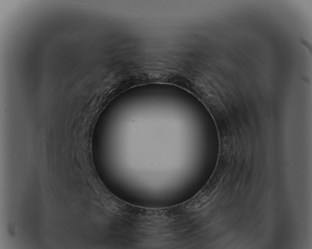 X0000092301249200710041441