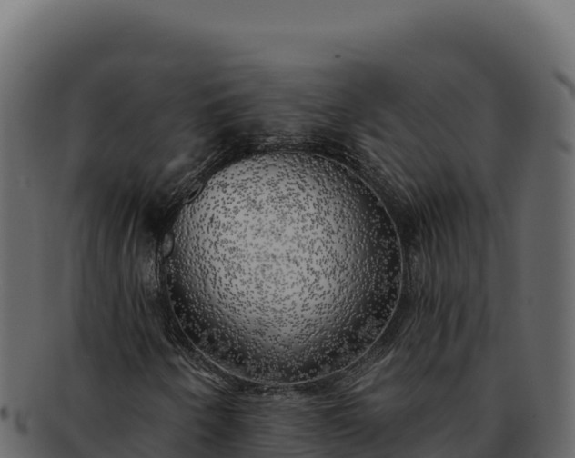 X0000092301250200710041441