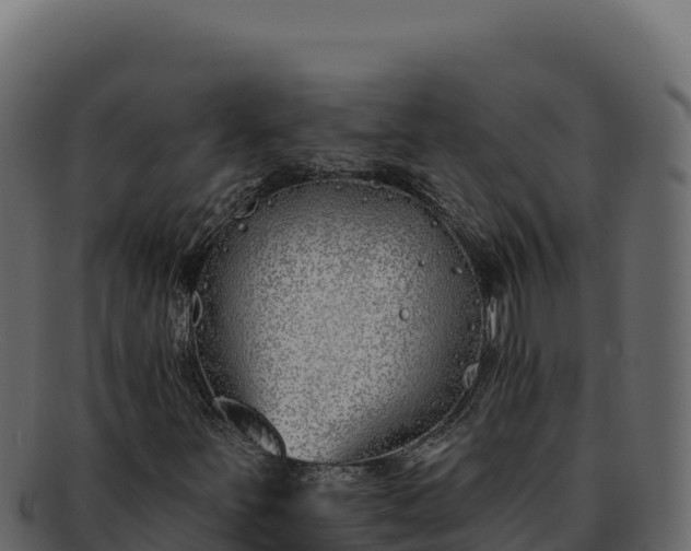 X0000092301251200710041441