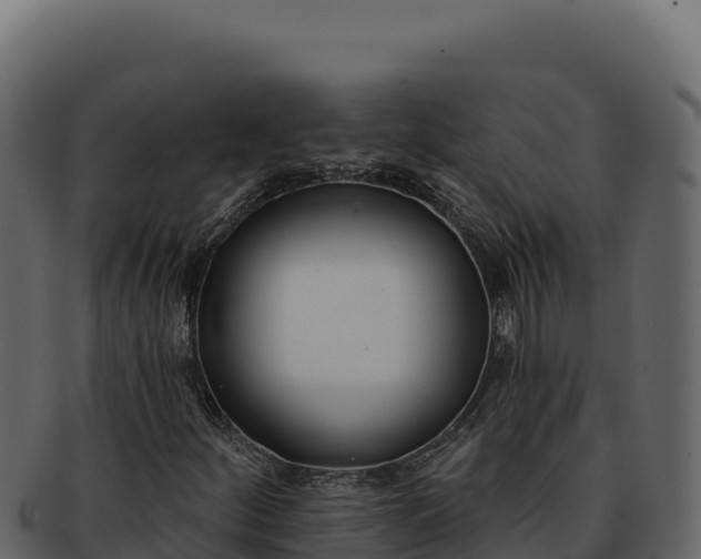 X0000092301252200710041441