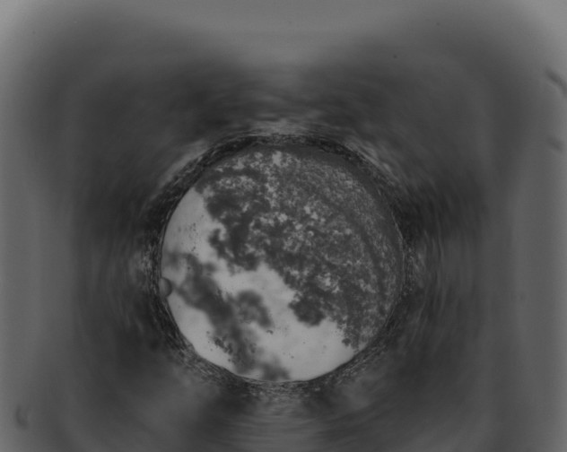 X0000092301254200710041441