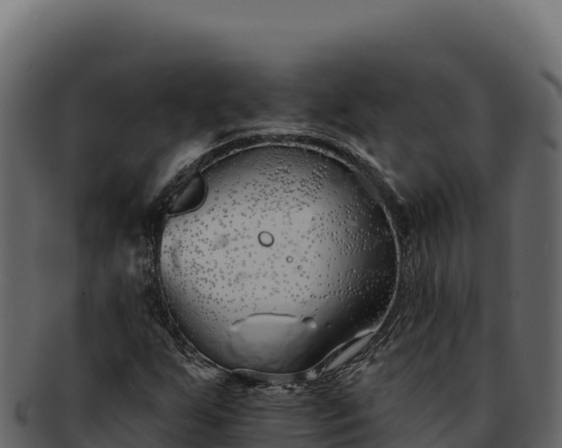 X0000092301255200710041441