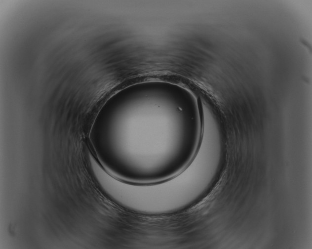 X0000092301257200710041441