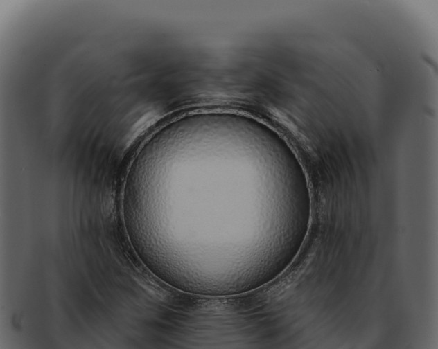 X0000092301259200710041441