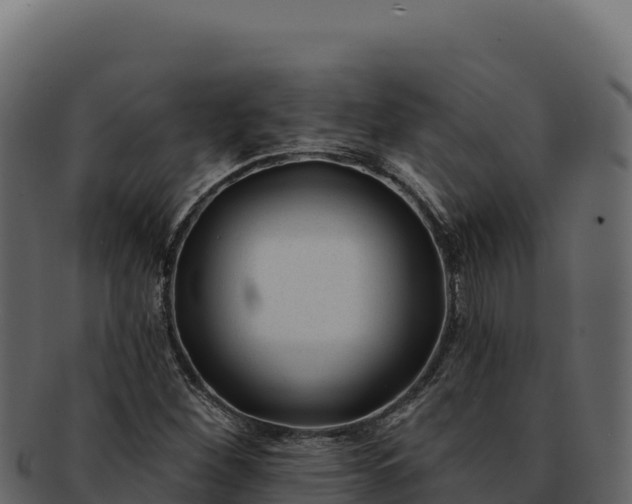 X0000092301260200710041441