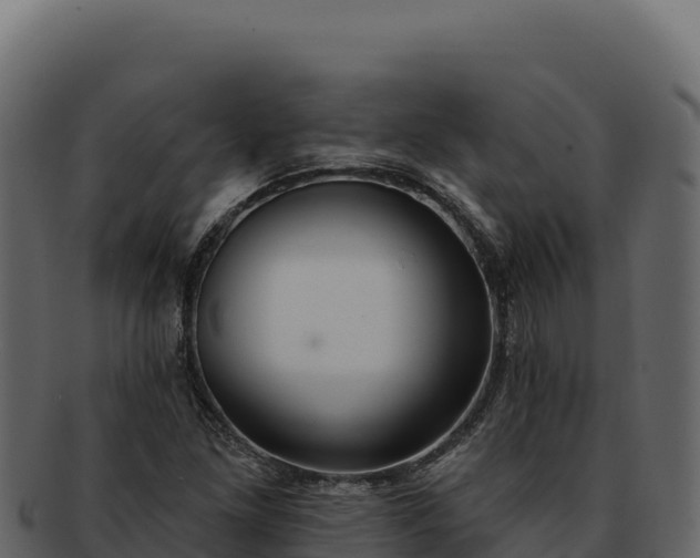 X0000092301261200710041441