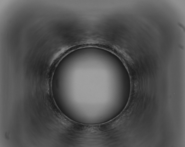 X0000092301262200710041441