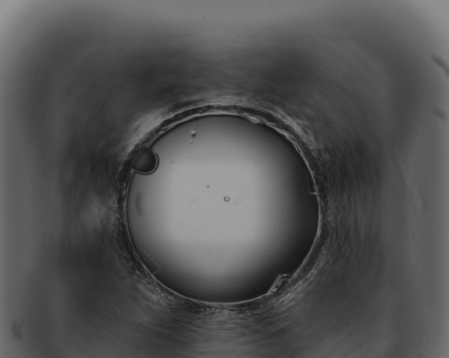 X0000092301263200710041441