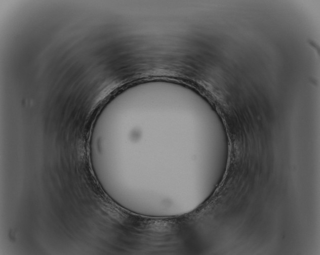 X0000092301266200710041441