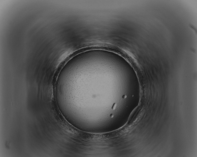 X0000092301267200710041441