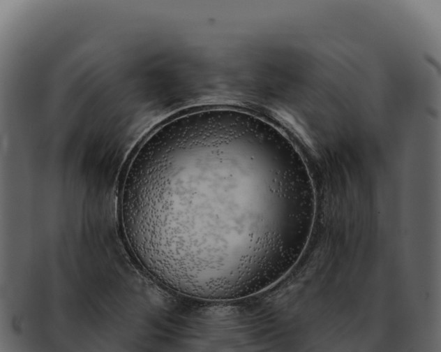 X0000092301268200710041441