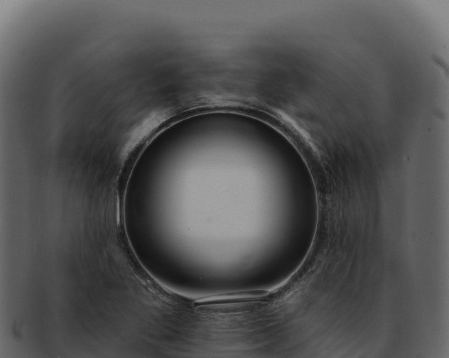 X0000092301269200710041441