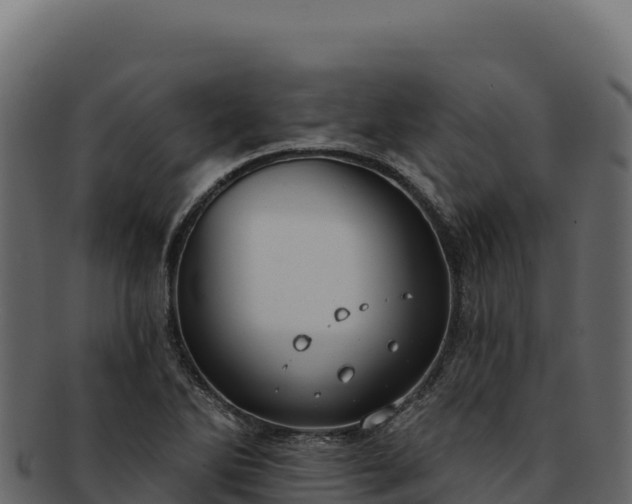 X0000092301270200710041441