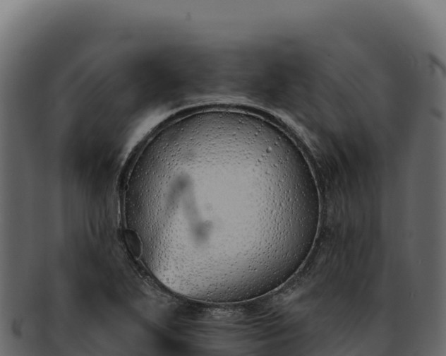 X0000092301271200710041441