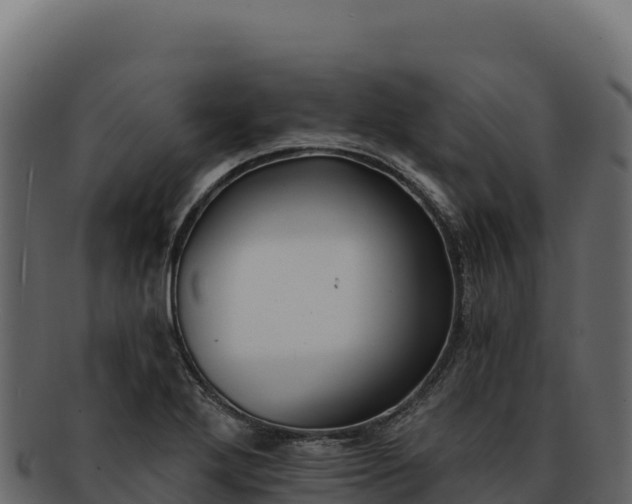 X0000092301272200710041441