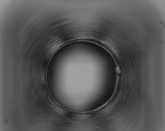 X0000092301273200710041441