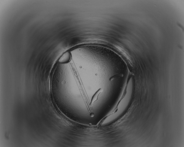 X0000092301275200710041441