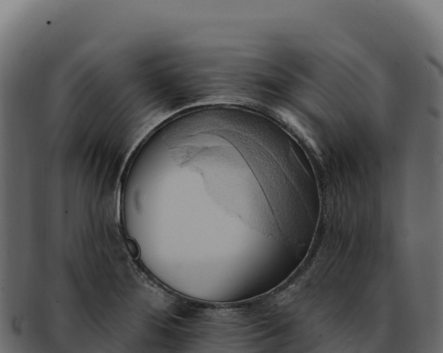 X0000092301276200710041441