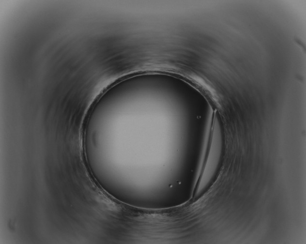 X0000092301280200710041441