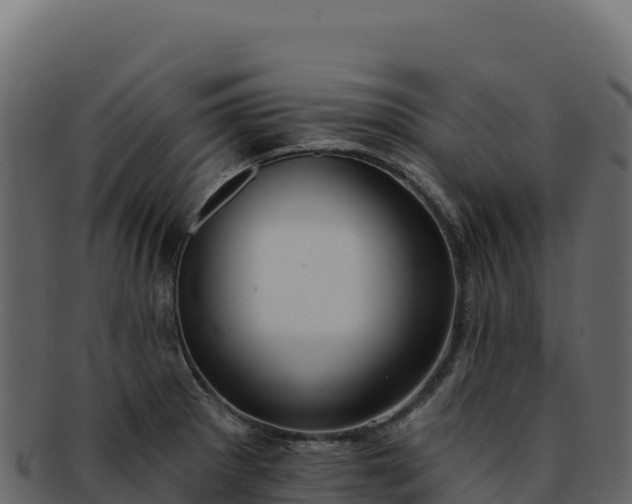 X0000092301281200710041441