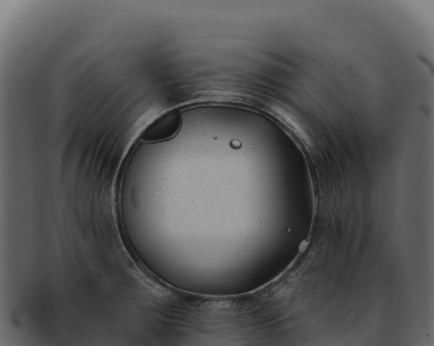 X0000092301283200710041441