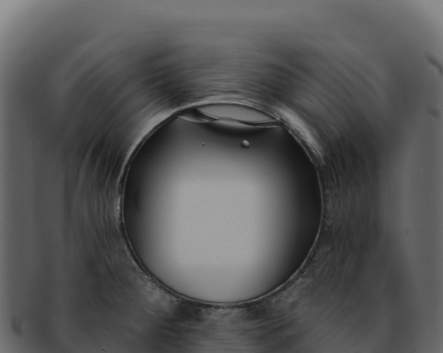 X0000092301284200710041441