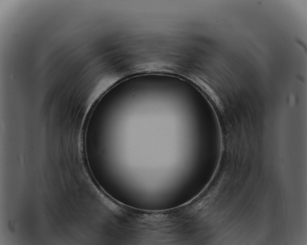 X0000092301285200710041441