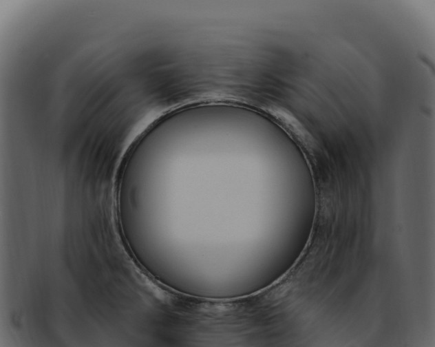 X0000092301286200710041441