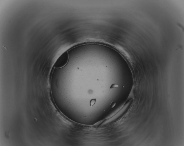 X0000092301287200710041441