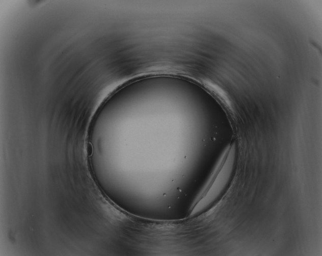 X0000092301288200710041441