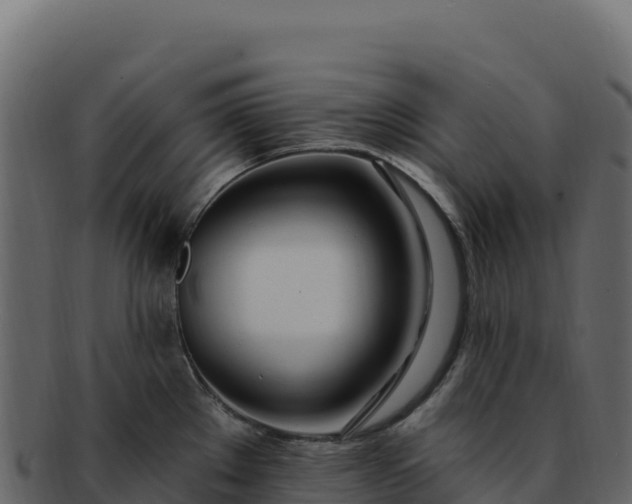 X0000092301289200710041440